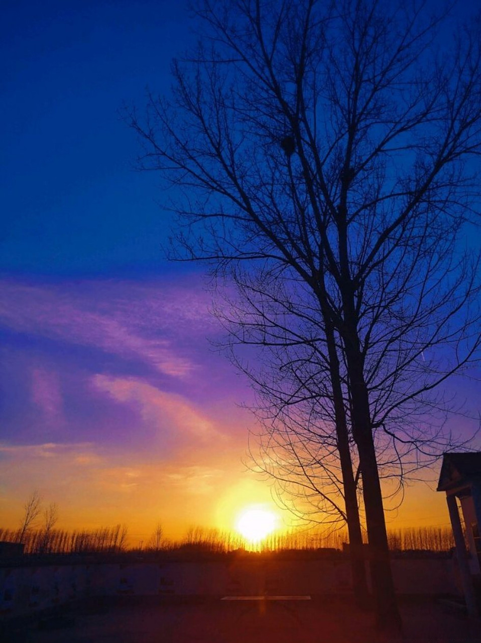 就在这夕阳里燃烧吧!