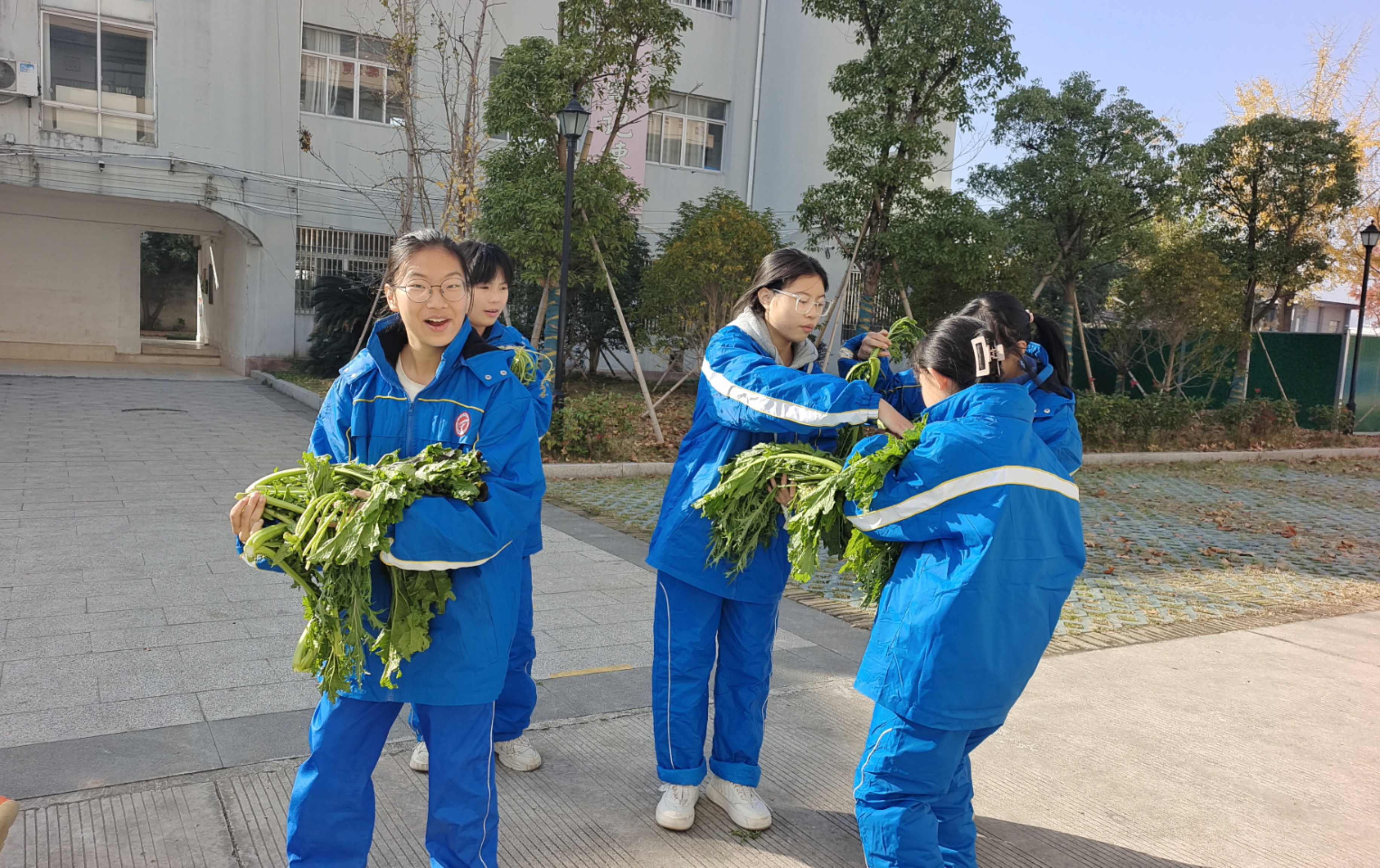 菜作奖品欢又喜 七(2)陈雅娜 天台县 坦头中学有块太空