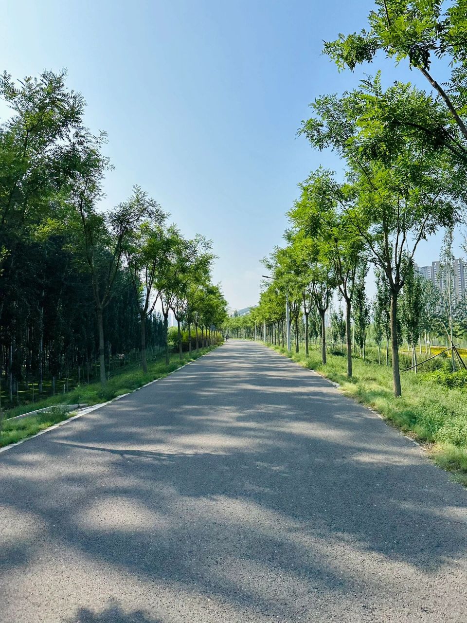 探路温榆河左堤路骑行路线(北边出发) 探索新路线的欲望战胜了优化旧