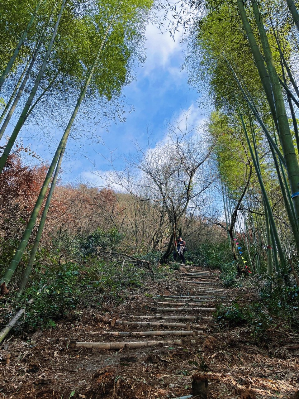 常州户外爬山·锅底山 溧阳锅底山7215 背上行囊我们一起去爬山.