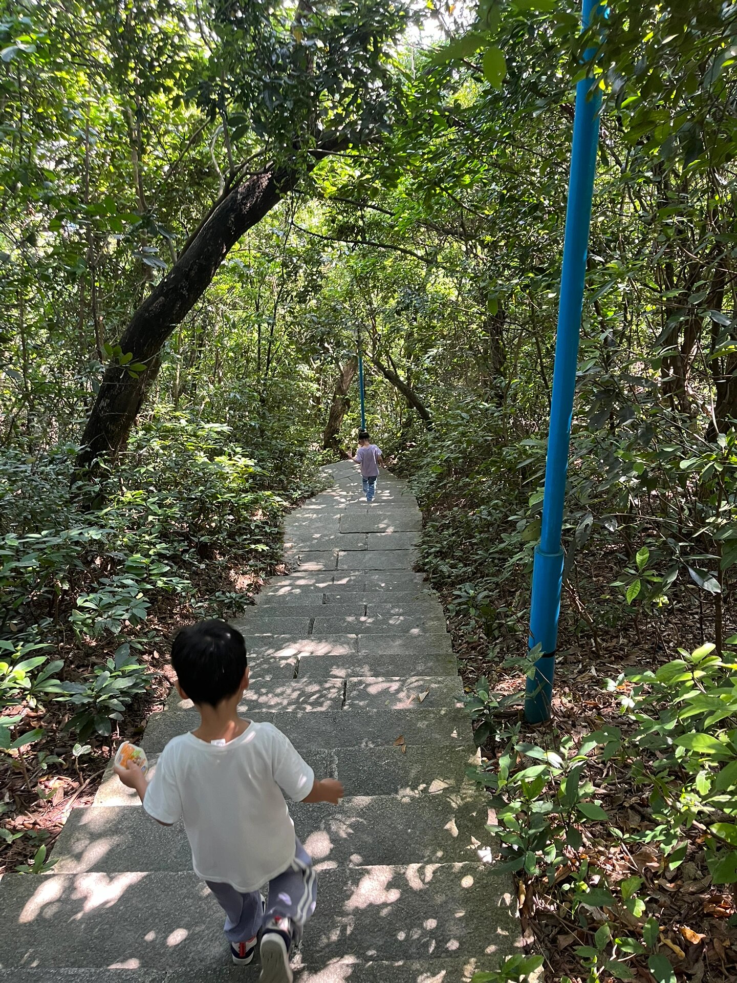 中山遛娃好地方-坦洲山公园