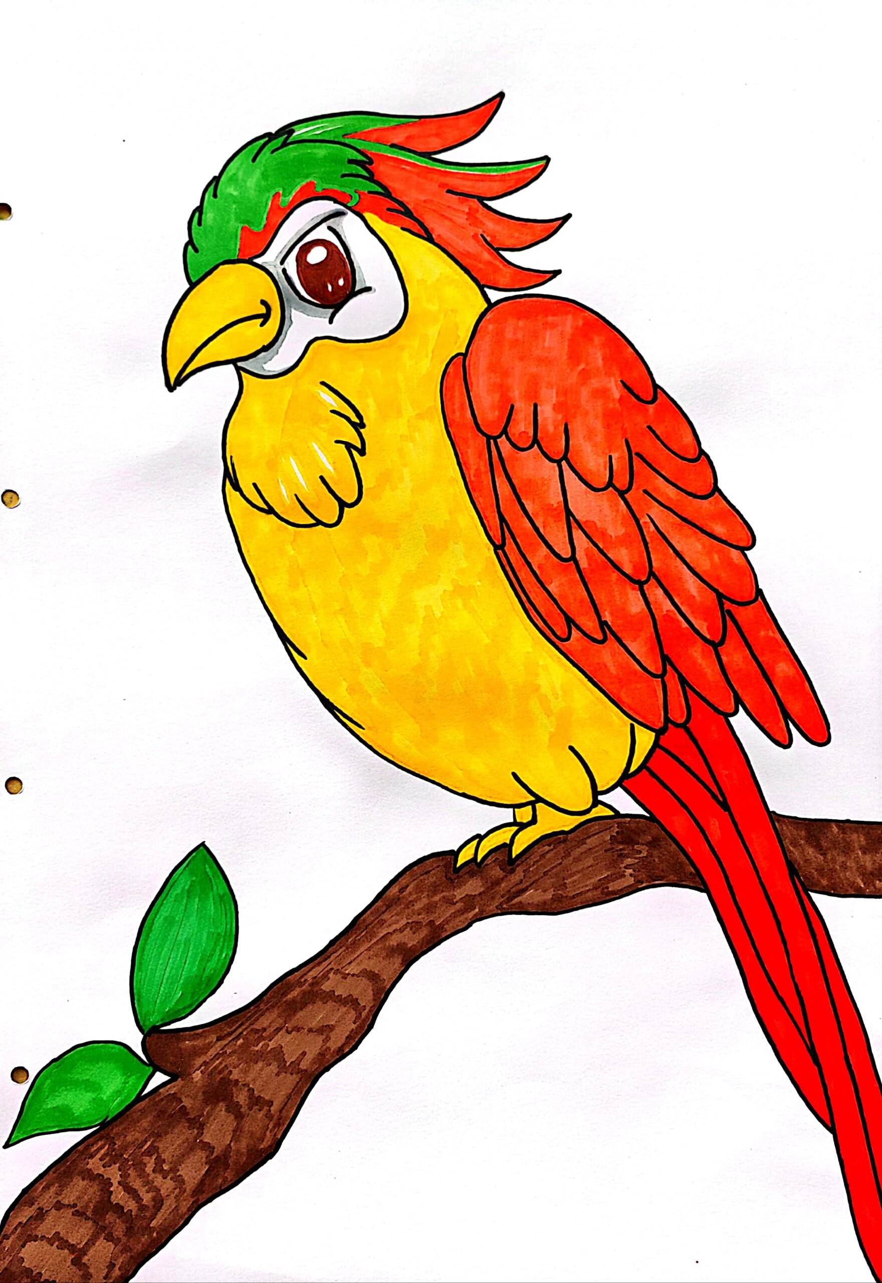 9-10岁少儿创意美术【鹦鹉