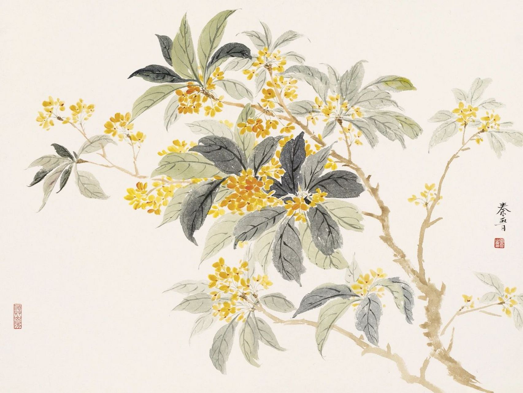 桂·花, 桂花自古以来有其美好的寓意.