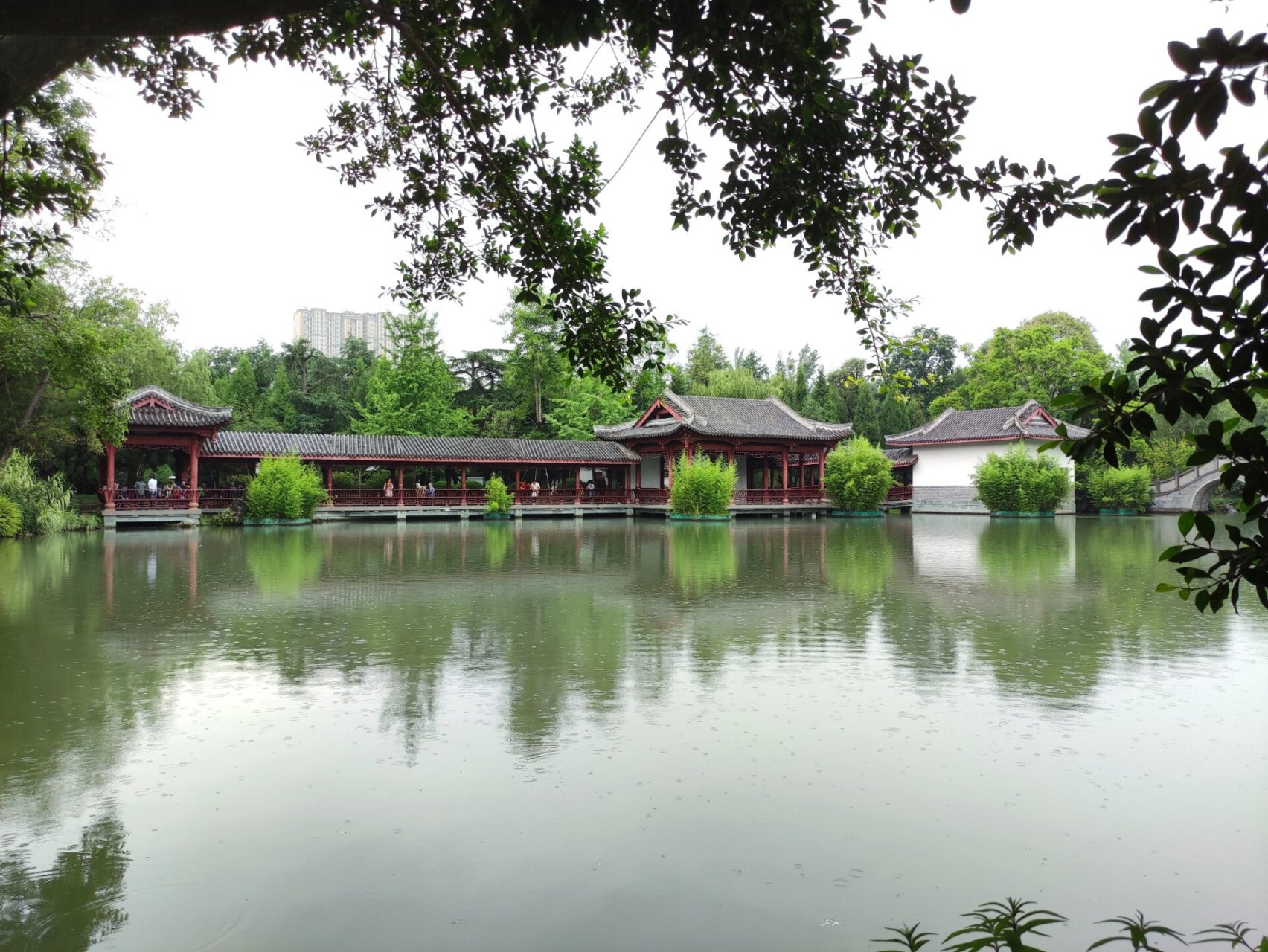 中式园林的艺术魅力94 成都的南郊公园,位于成都市南门外武侯祠旁