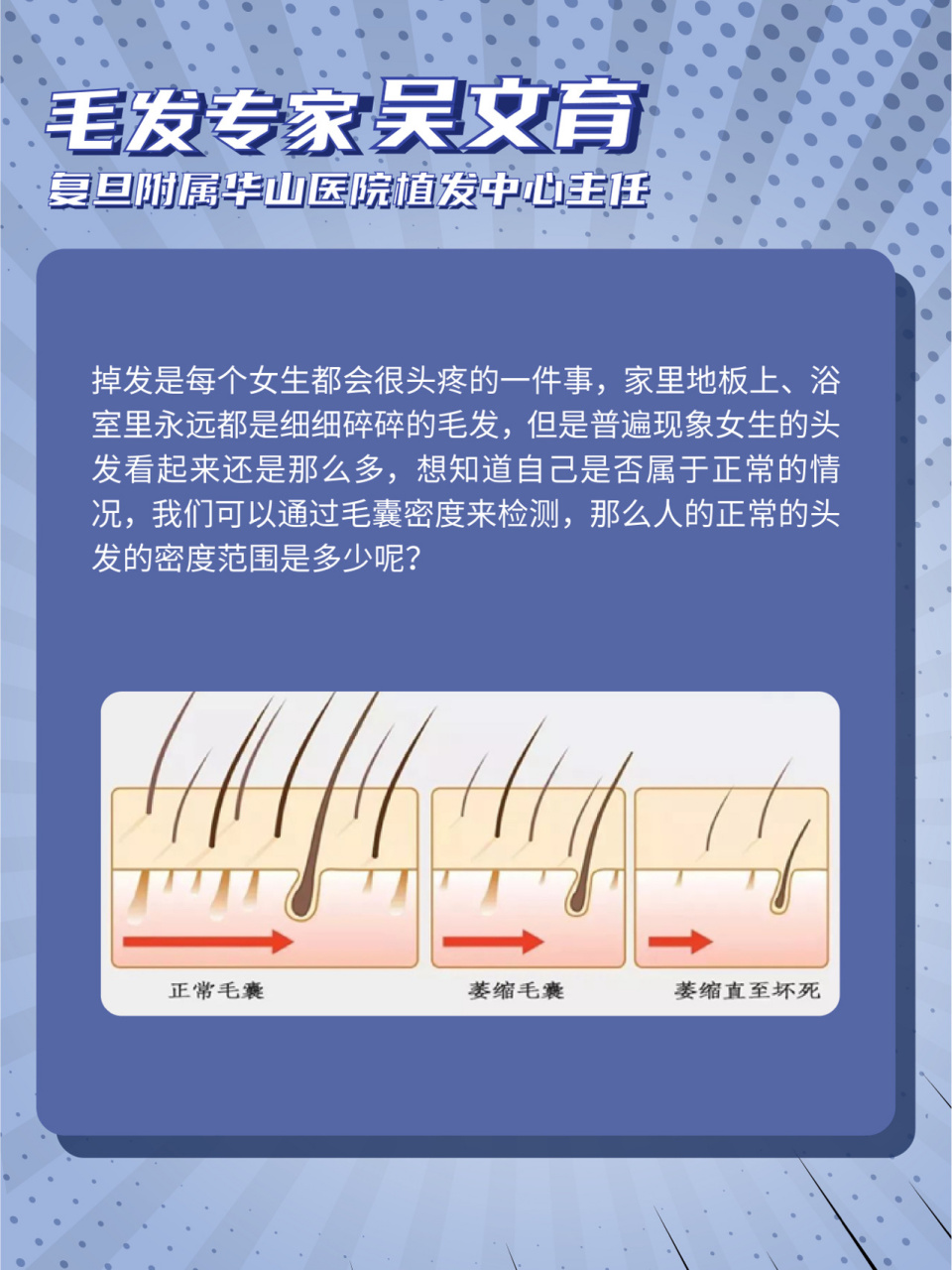 人的头发的正常密度是多少?