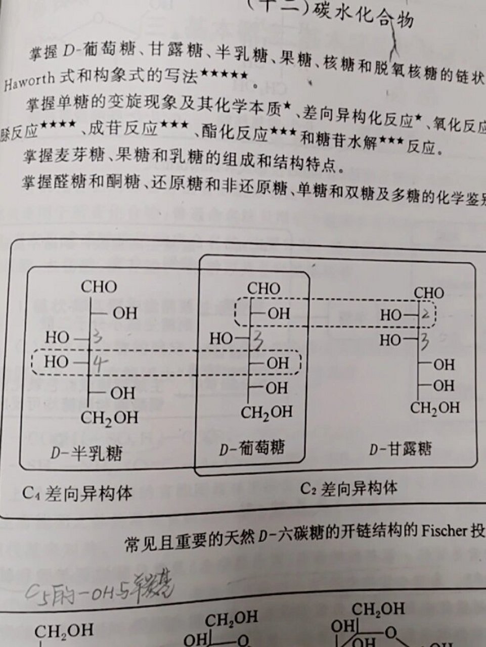 六碳糖结构图图片