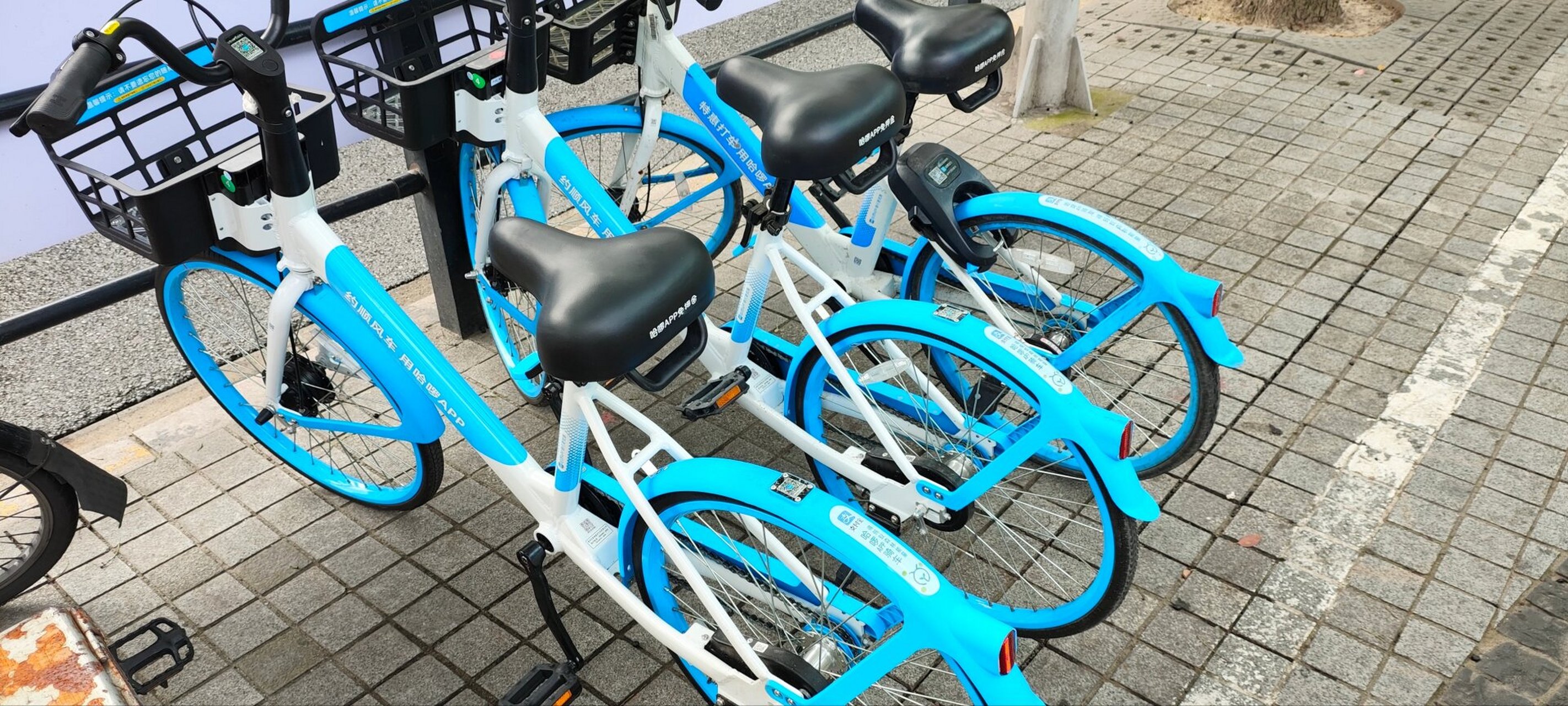 小蓝车 哈啰单车投入新款自行车了