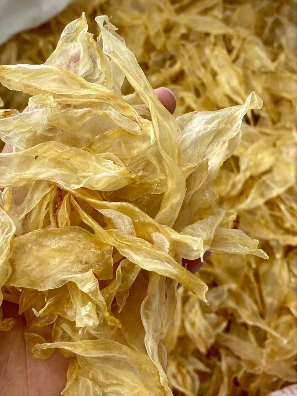 竹叶胶(小胶大能量)9393 【竹叶胶】一斤380元!