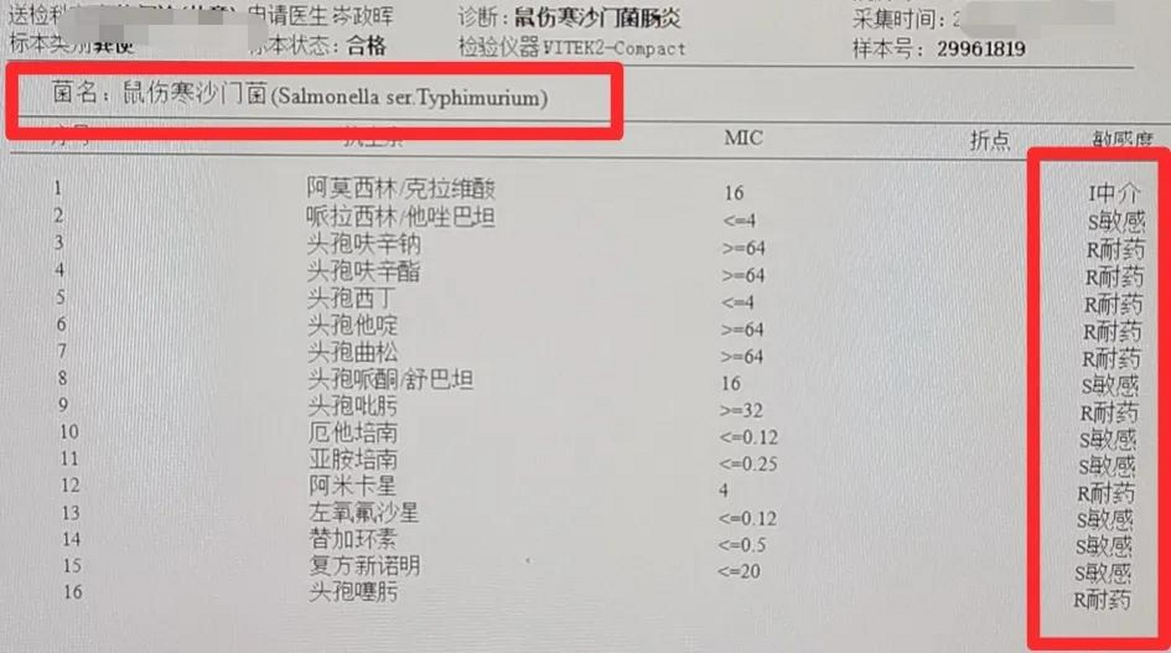 伤寒沙门菌血清型图片