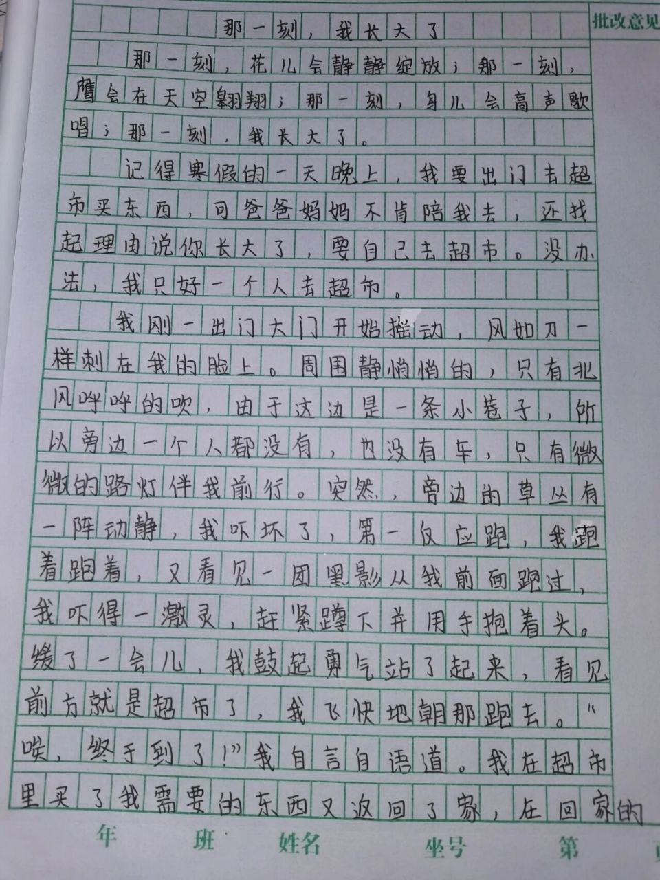 那一刻,我长大了作文 字有点丑,别介意.