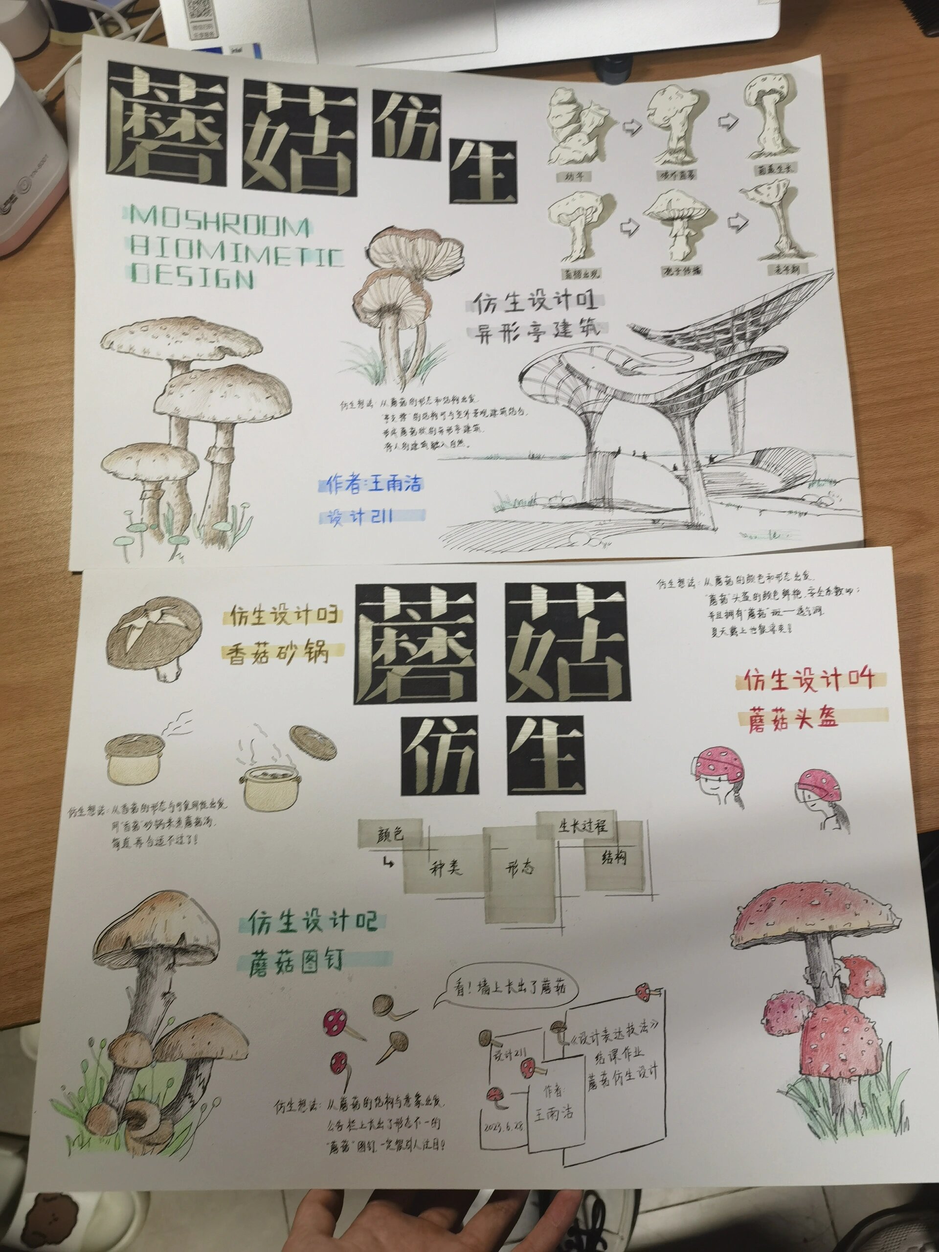 课程作业—蘑菇仿生设计