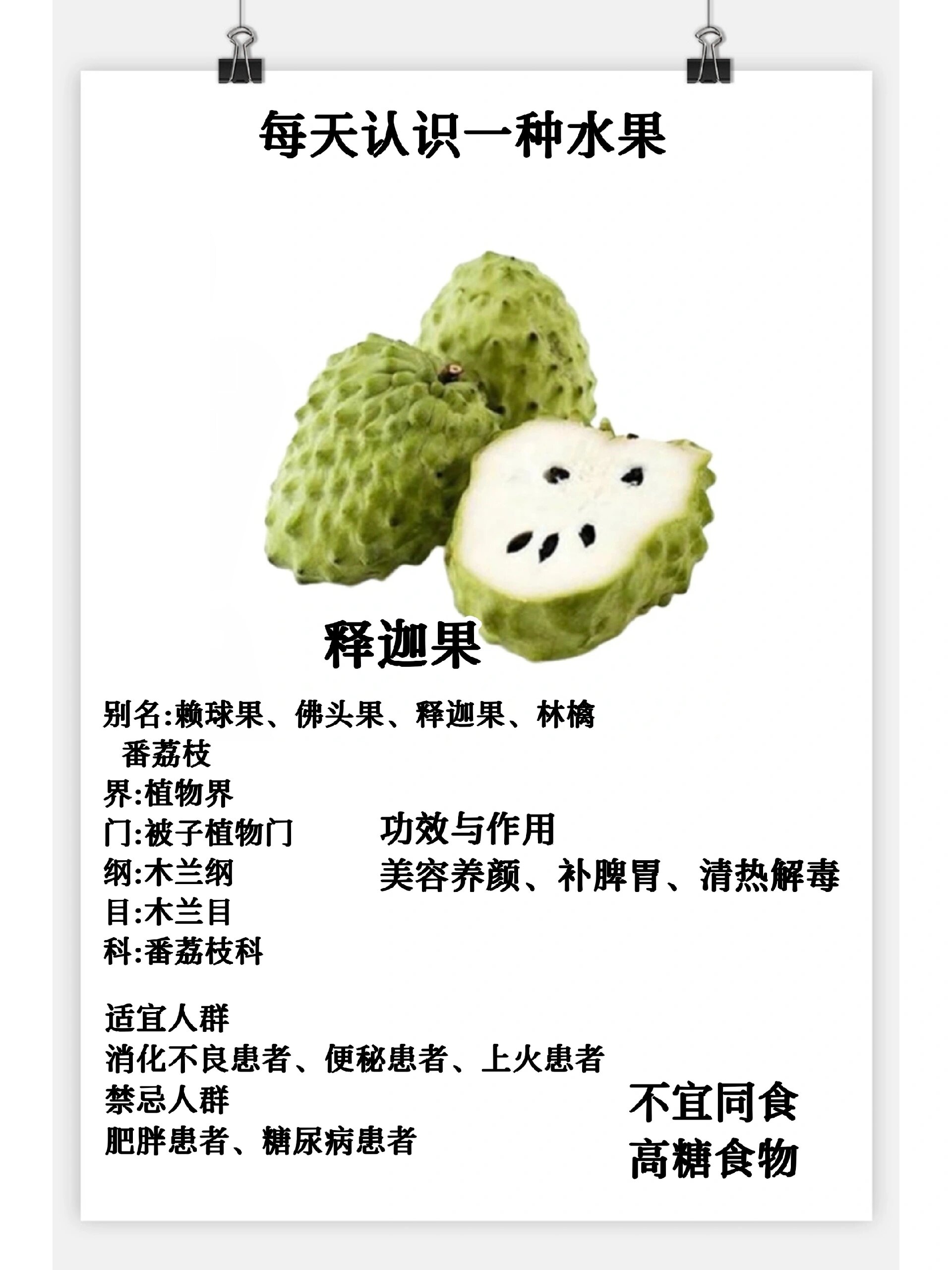 每天认识一种水果