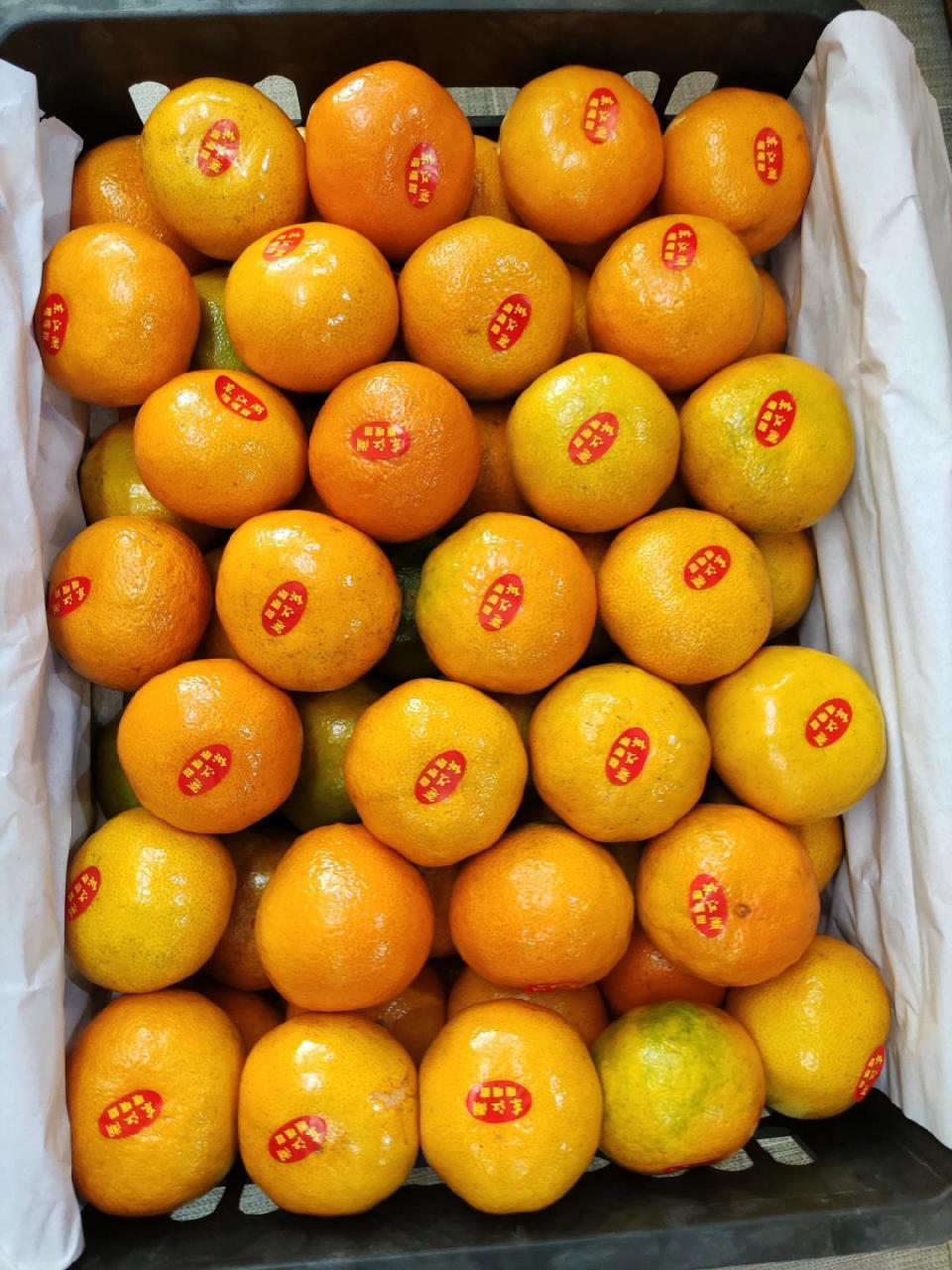 东江湖蜜橘新鲜到货了 零污染核心产区,原始种植方式,零农残,自然成熟