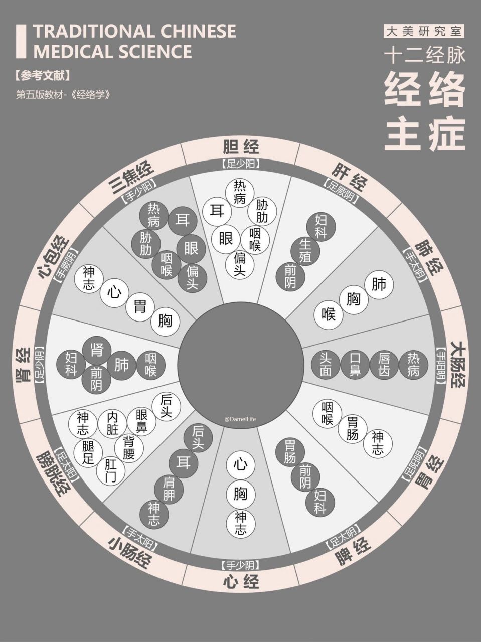 经穴|中医人体十二经络的主治病症 图中总结了人体每