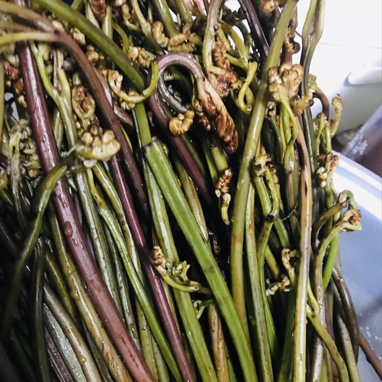 求助,为什么这个蕨菜是苦的? 第一次煮.