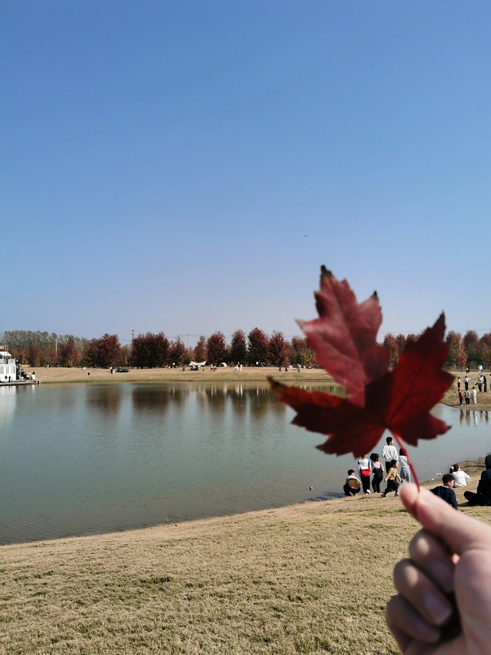 徐州红枫森林公园(在邳州) 推荐指数:☆☆(毕竟是免费的,要啥自行车)