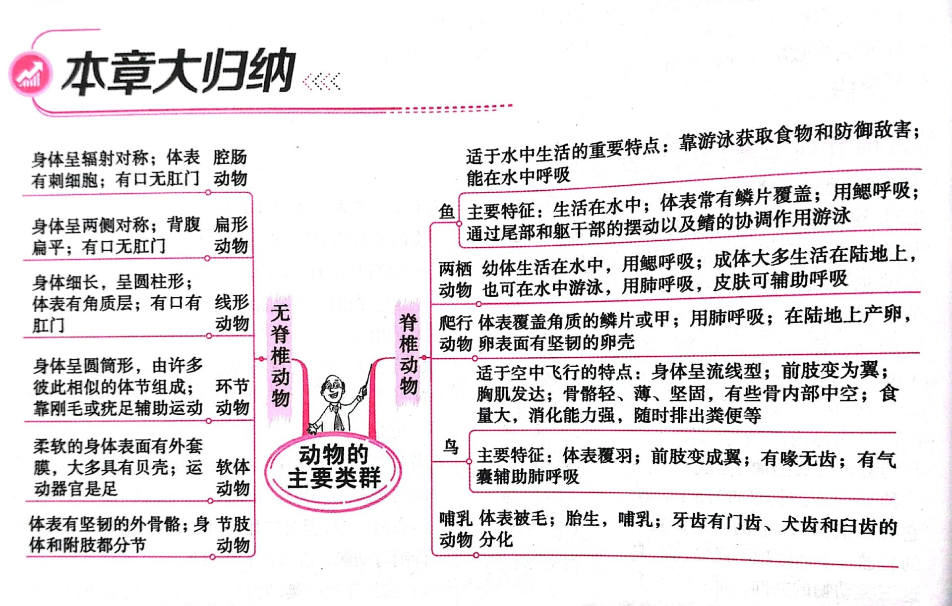 爬行类思维导图图片