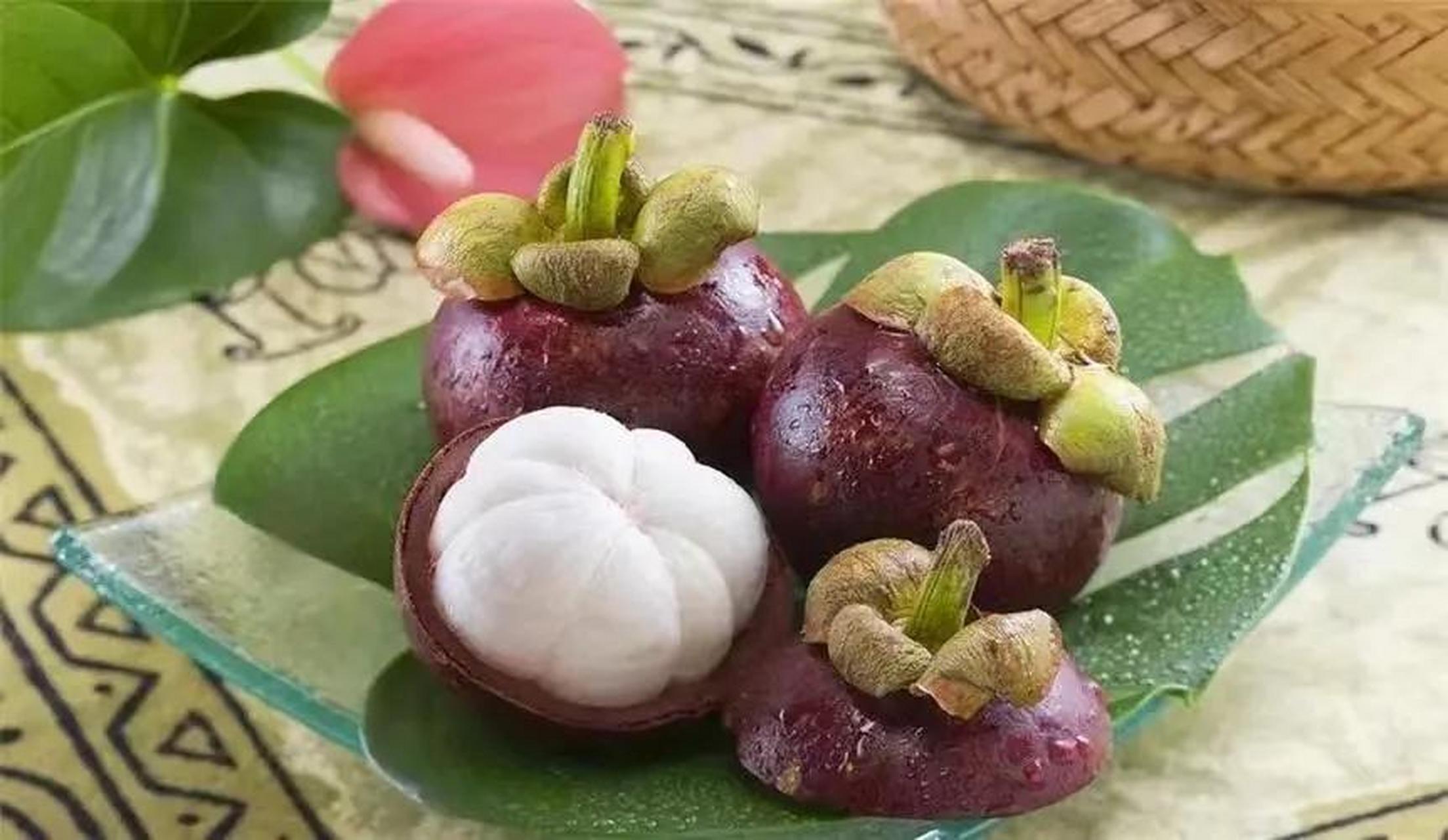 有"热带果后"之称的山竹在5-9月份是成熟旺季,果壳呈黑紫红色,掰开