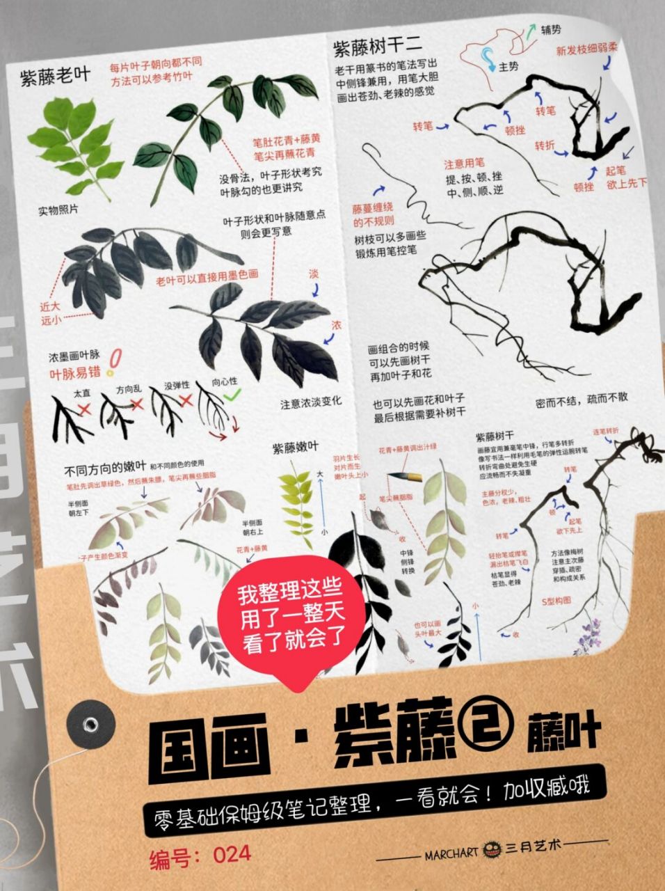 国画笔记24|紫藤画法79叶子藤干6015干货分享         超详细