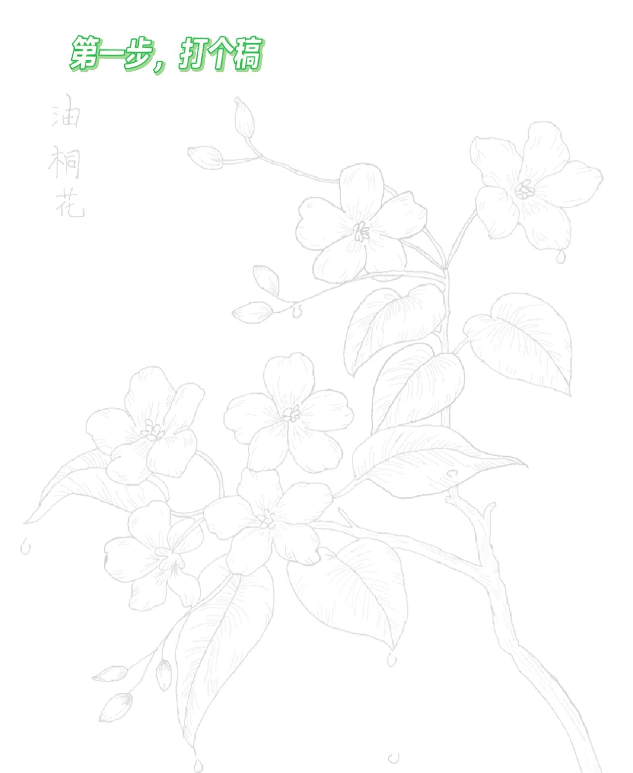画花入门基础