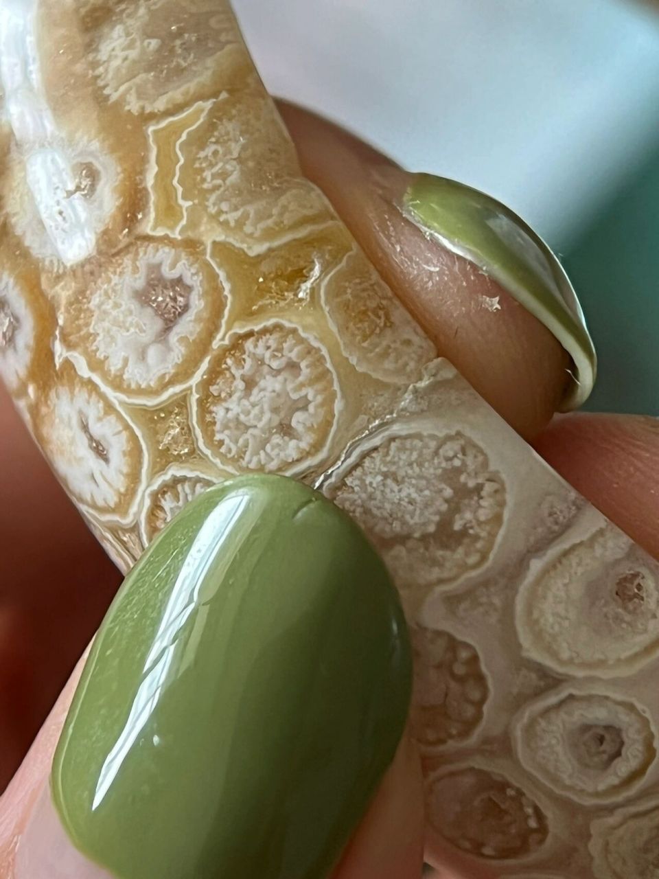 珊瑚玉裂痕明显,商家却不承认!