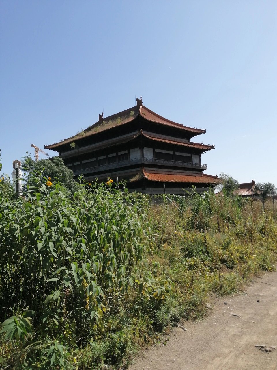 哈尔滨天恒山龙兴寺 本来是上山祈福许愿保平安的,可惜寺庙还在施工