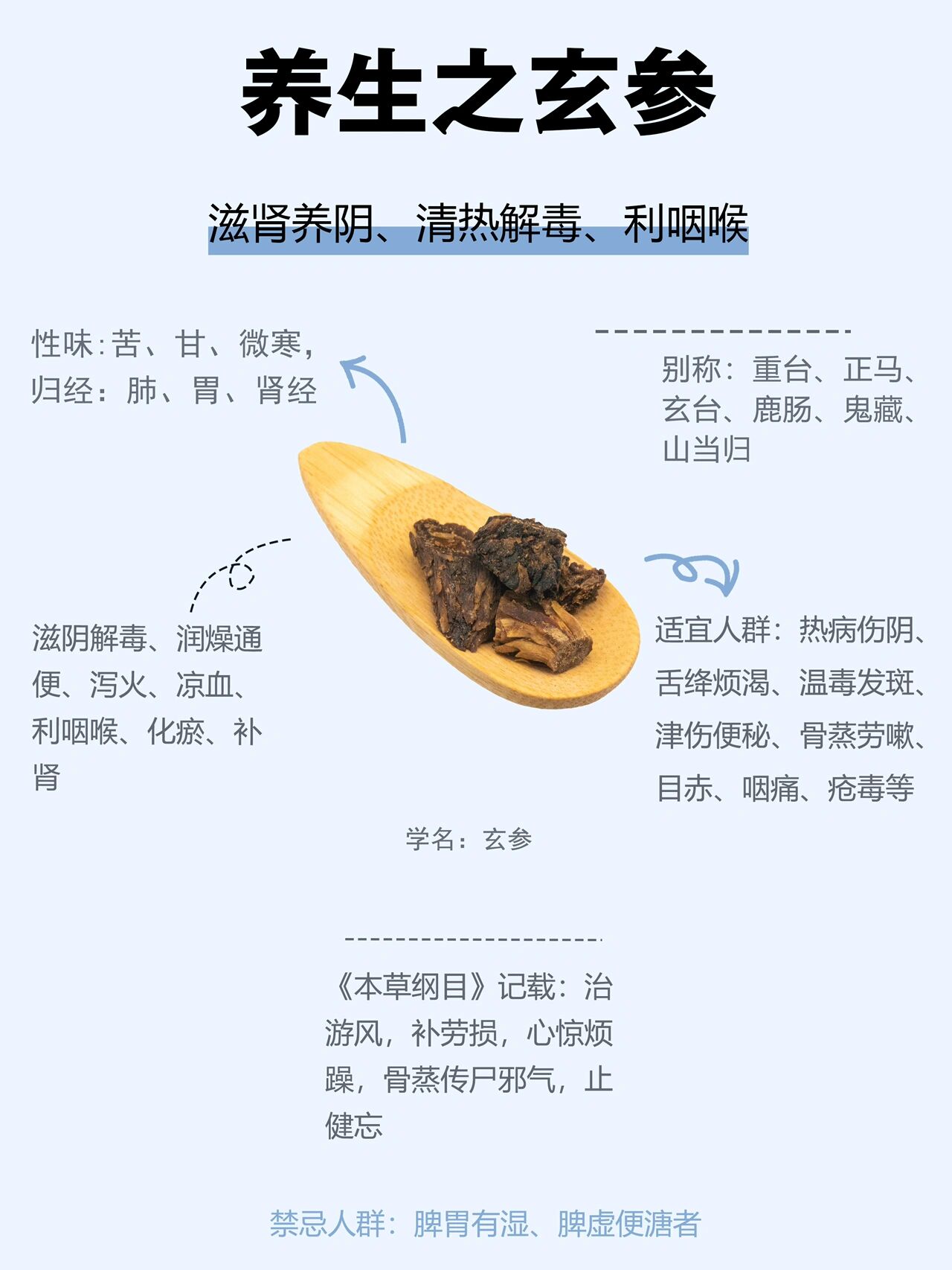 玄参归经图片