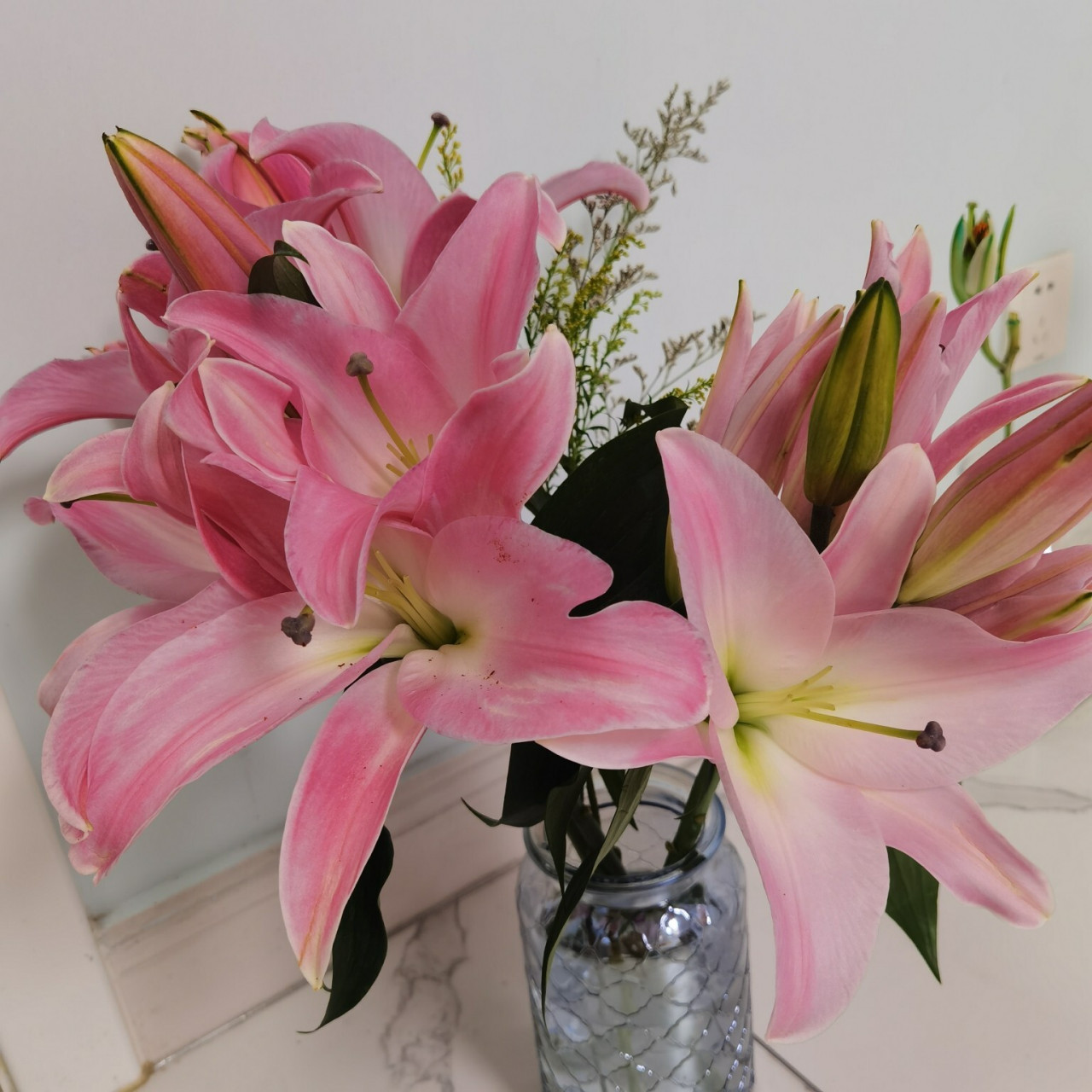 星光百合-大花多头 星光百合 粉粉嫩嫩特别少女的一款清香型百合