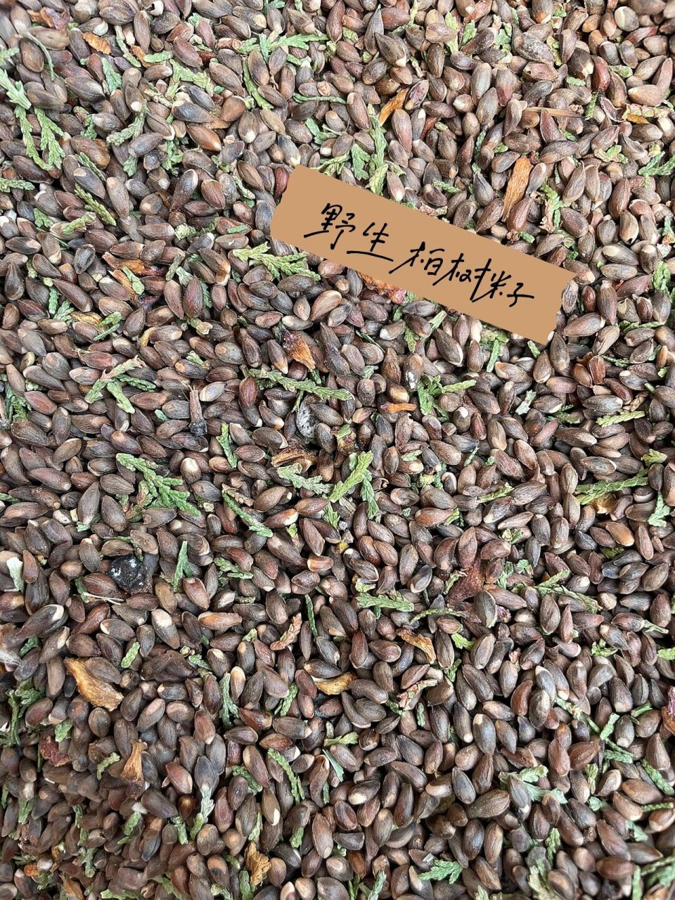 姥姥家的野生柏树籽 我百度了一下可以做枕头 助眠安神 提高免疫力!