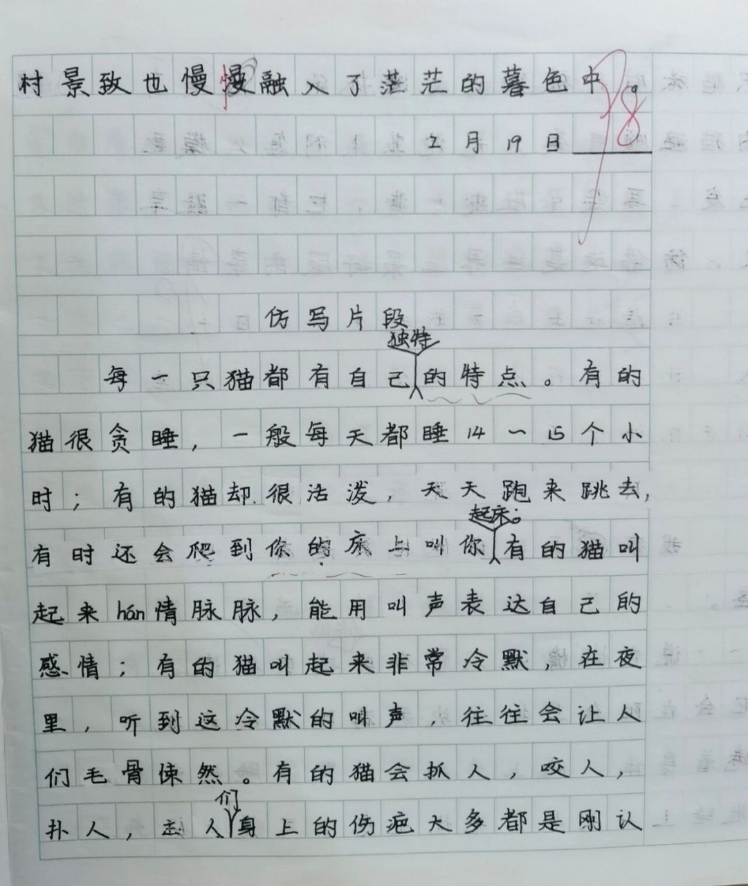 四年级《乡下人家》小练笔 《乡村景致》by大潼