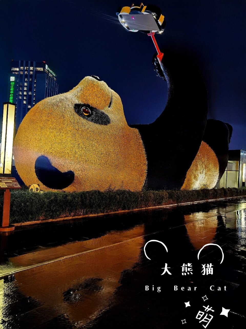 成都大熊猫广场图片