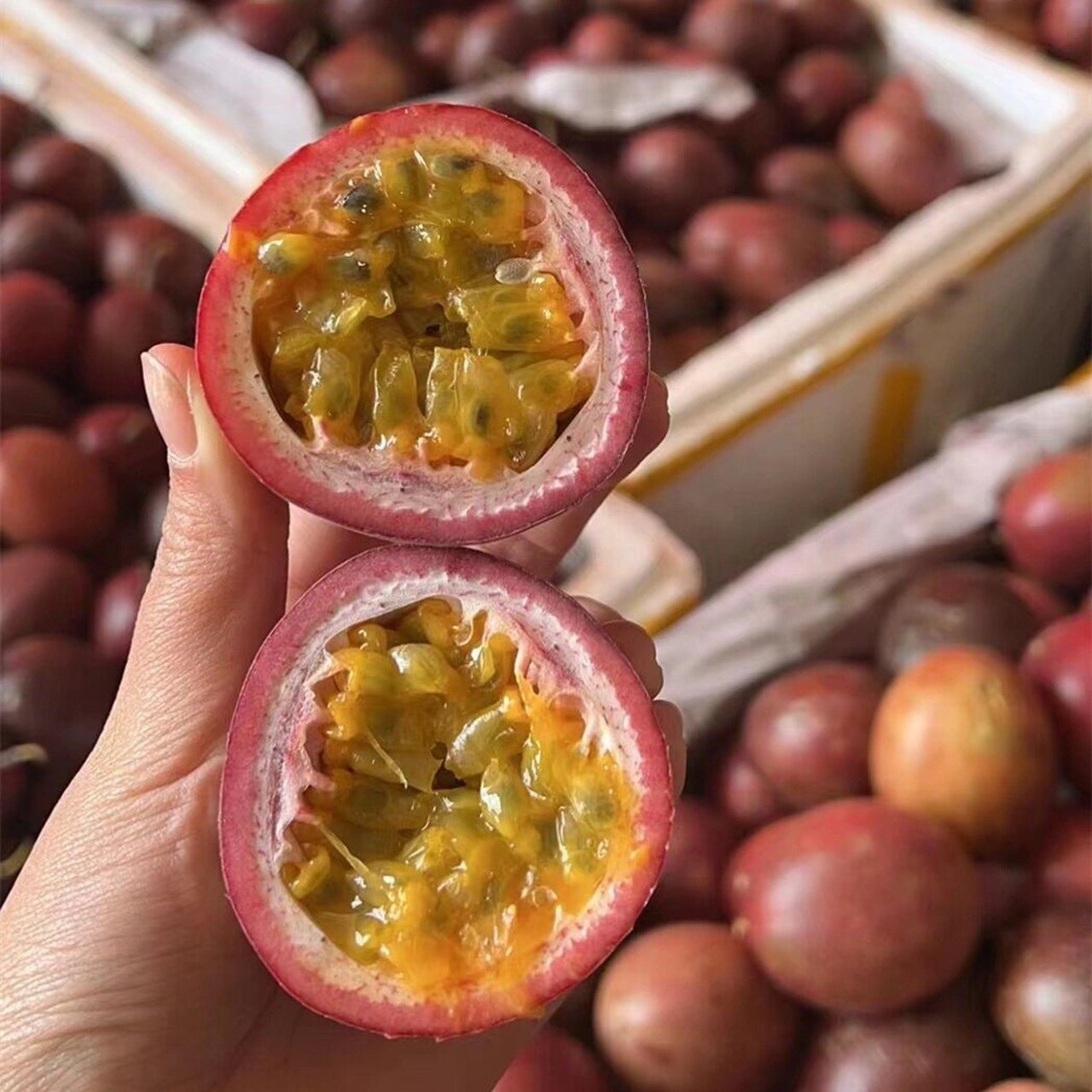 高山紫香一号百香果 当你遇上百香果, 尝试过就会喜欢上她的香, 贪恋