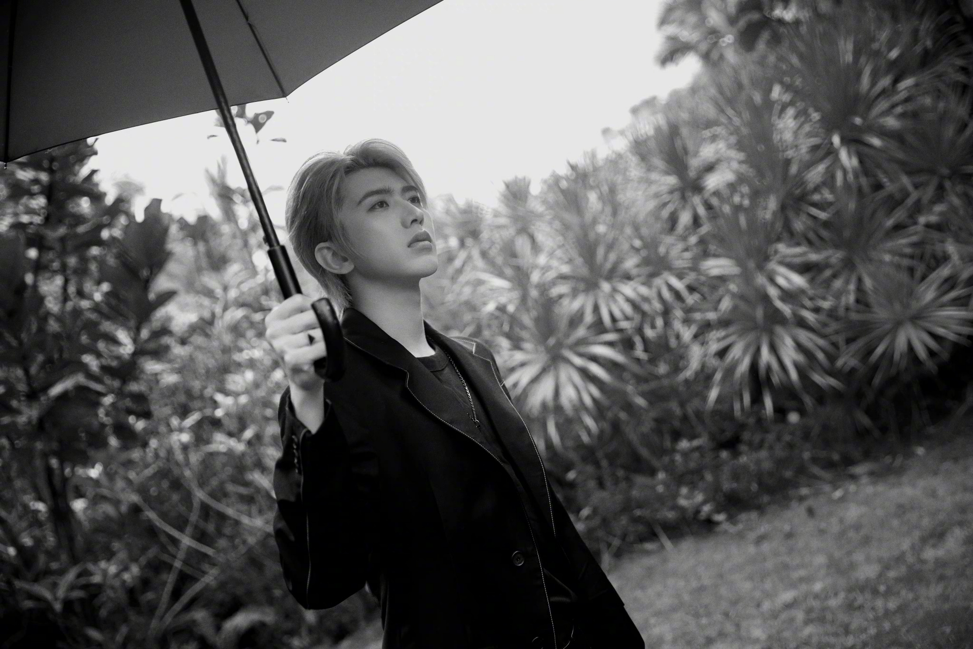 蔡徐坤@蔡徐坤晒黑白倒立照@蔡徐坤颠倒氛围感大片 @蔡徐坤 穿着西装