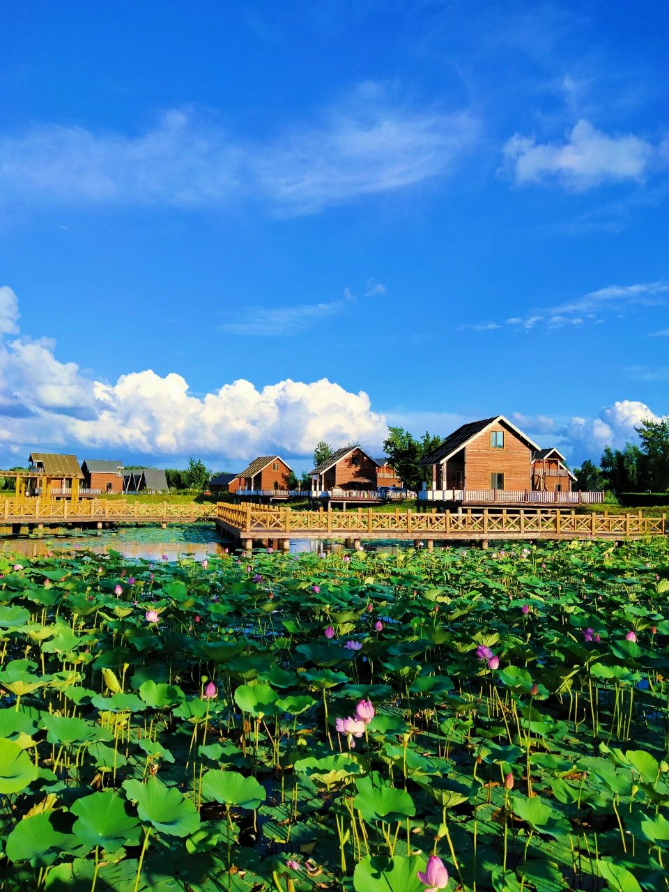 长岭湖风景区图片