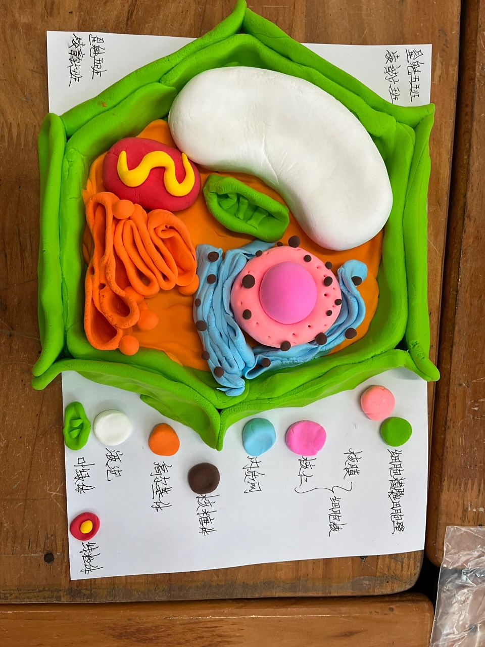 真核细胞三维结构模型 哪怕一个最简单的细胞 也比迄今为止 设计出的