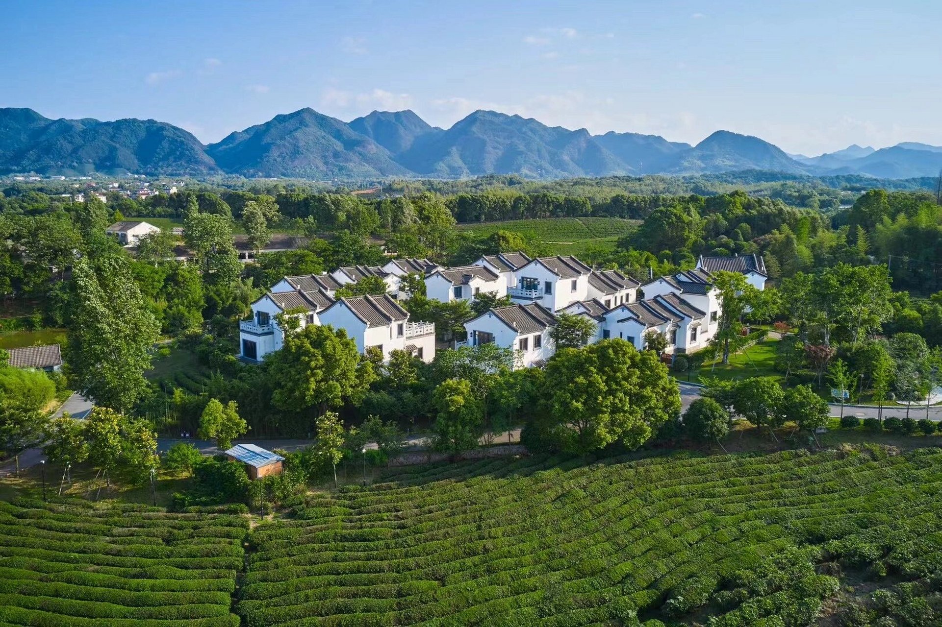 南山别院·金华|茶园边的别墅 98金华市婺城区苏孟乡定安路555号