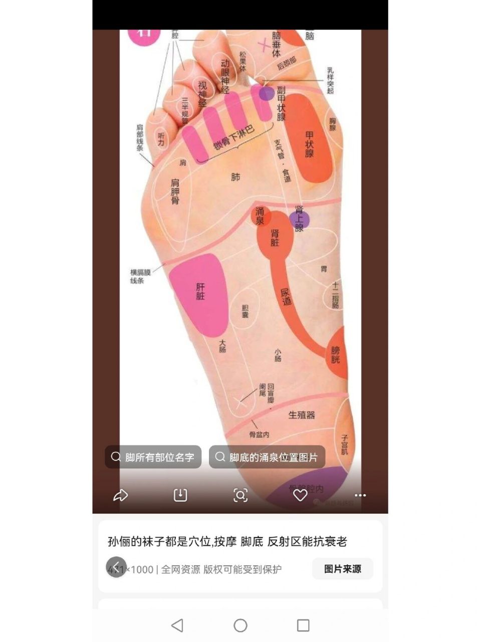 脚底按摩穴位图,"动眼神经"和"视神经"