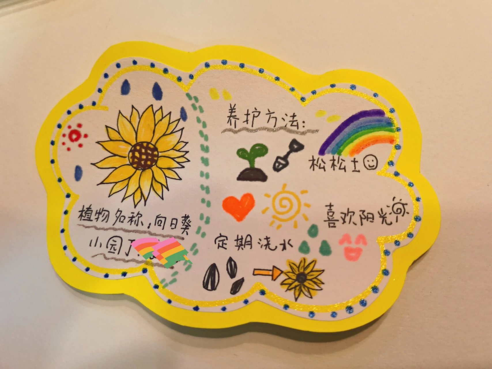 幼儿园植物姓名牌🌻🌻🌻 🌻🌻🌻的姓名牌搞定