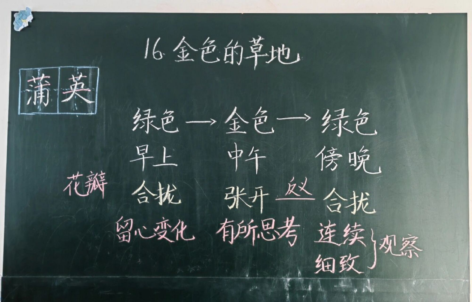 三上第五单元《金色的草地》板书设计