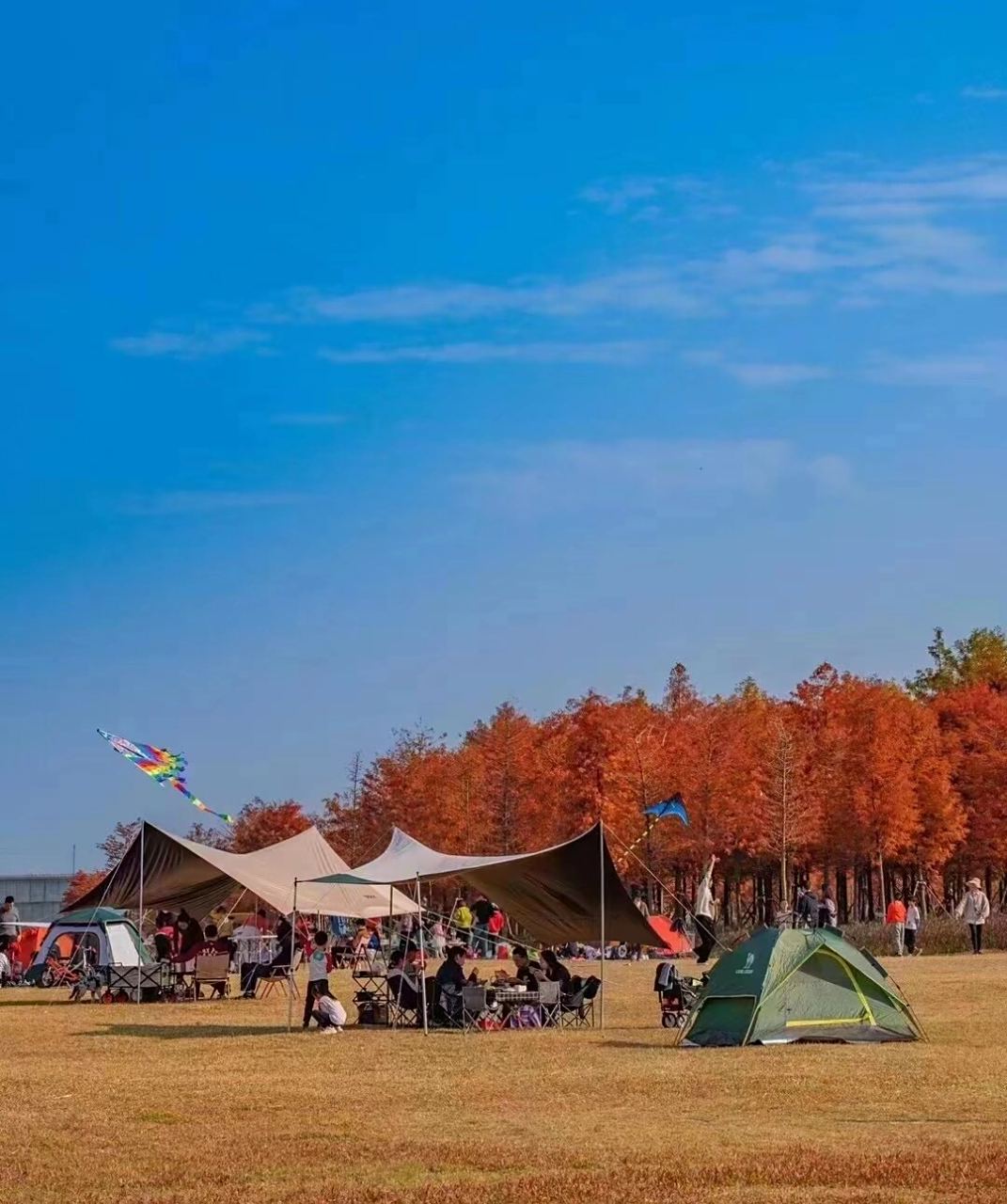 江边露营的季节72159499灵龟山公园 又又又到了适合去江边