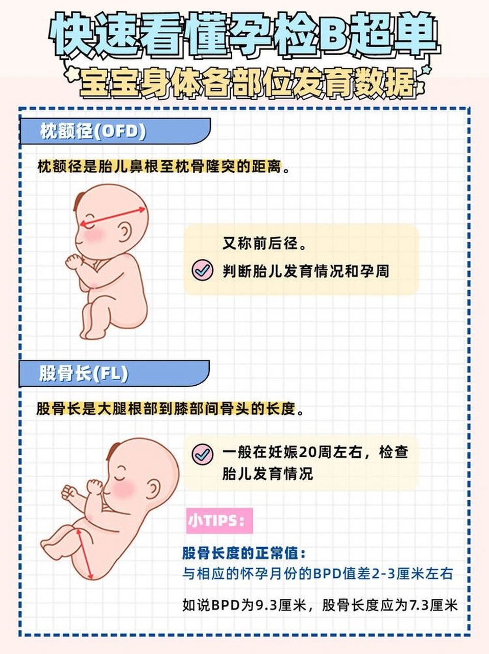 胎儿枕额径对照表图片