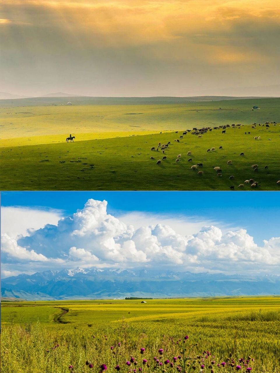 伊昭公路|风光堪比独库开放时间更短的天路 0315在新疆,有一条