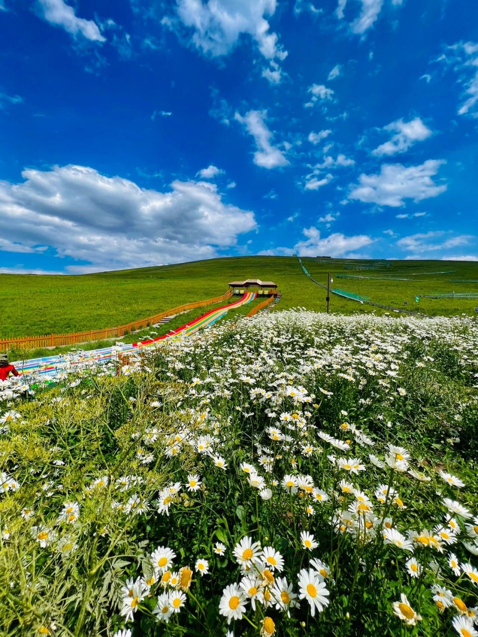 9899新疆 江布拉克大峡谷 你要的美景它都有 雪山9015森林