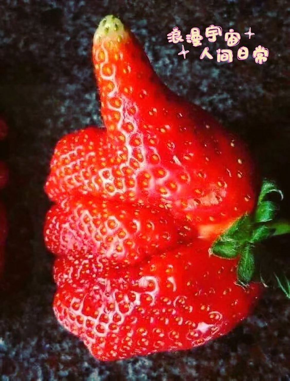 今天草莓给你们点赞了