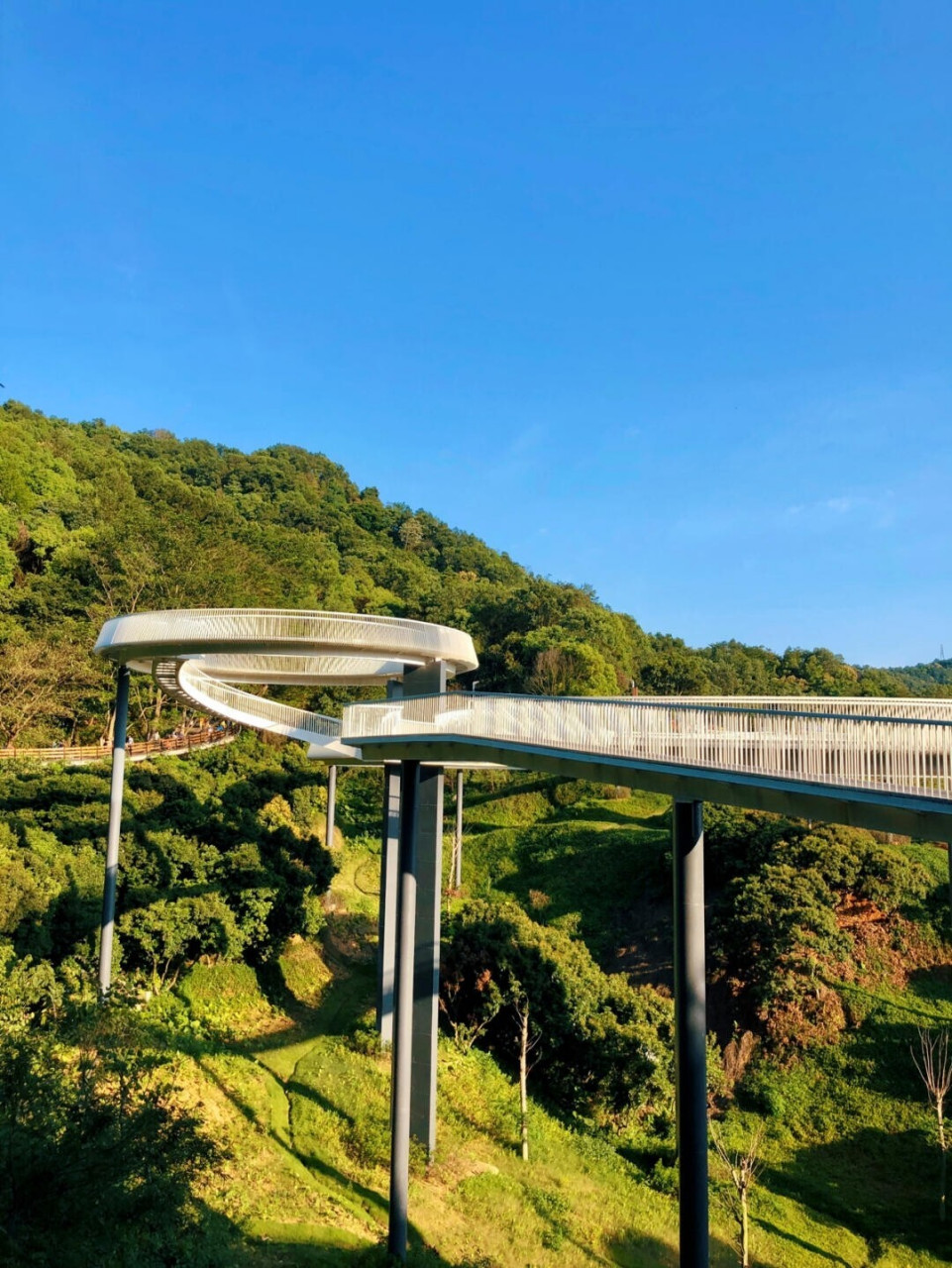 深圳免费景点网红玻璃桥-大顶岭公 位置及入口      坐公交到光明滑草