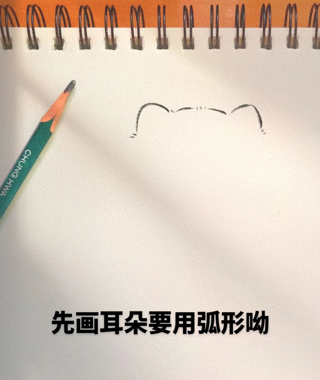 有手就会超可爱简笔画(附过程) 小浣熊简笔画