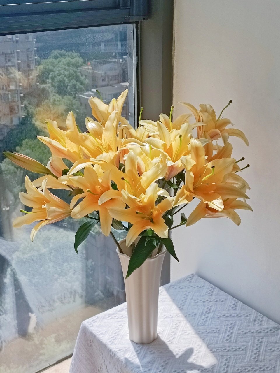 多头香水百合·晚霞|当正午阳光遇上晚霞～                    94