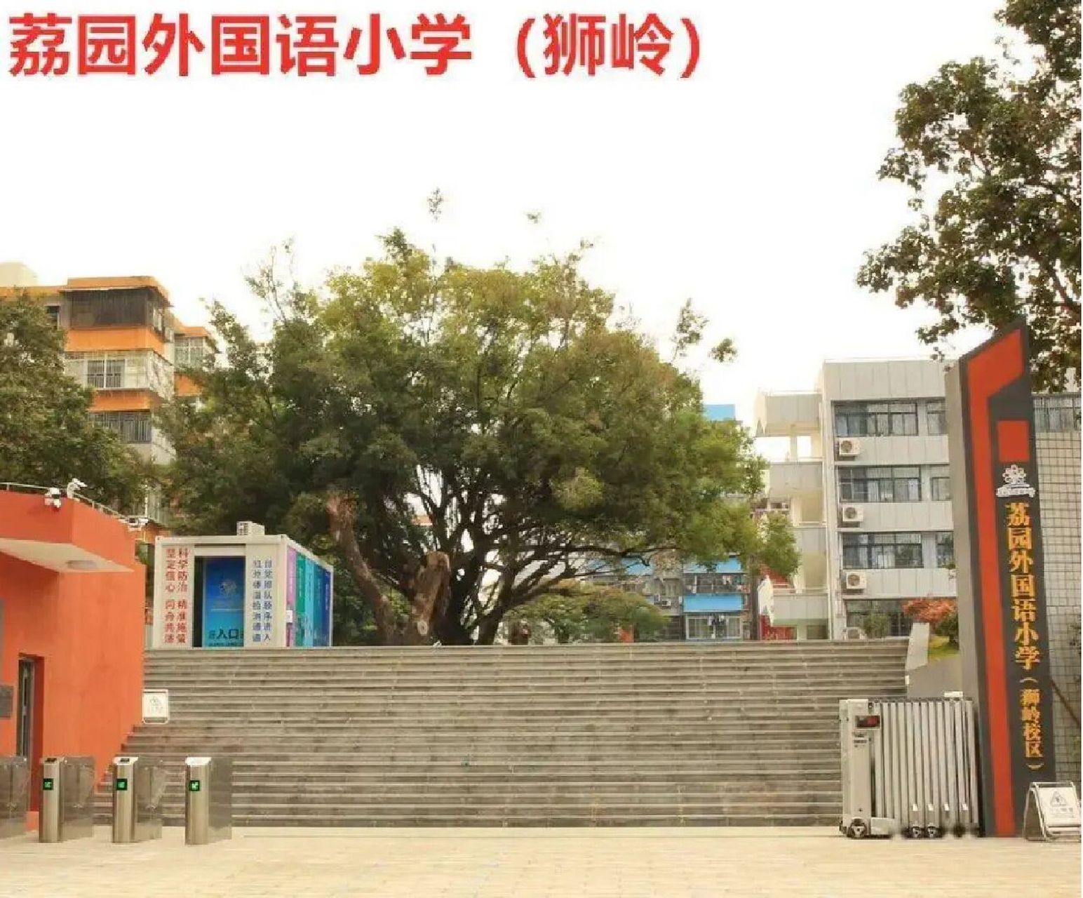 荔园外国语小学图片