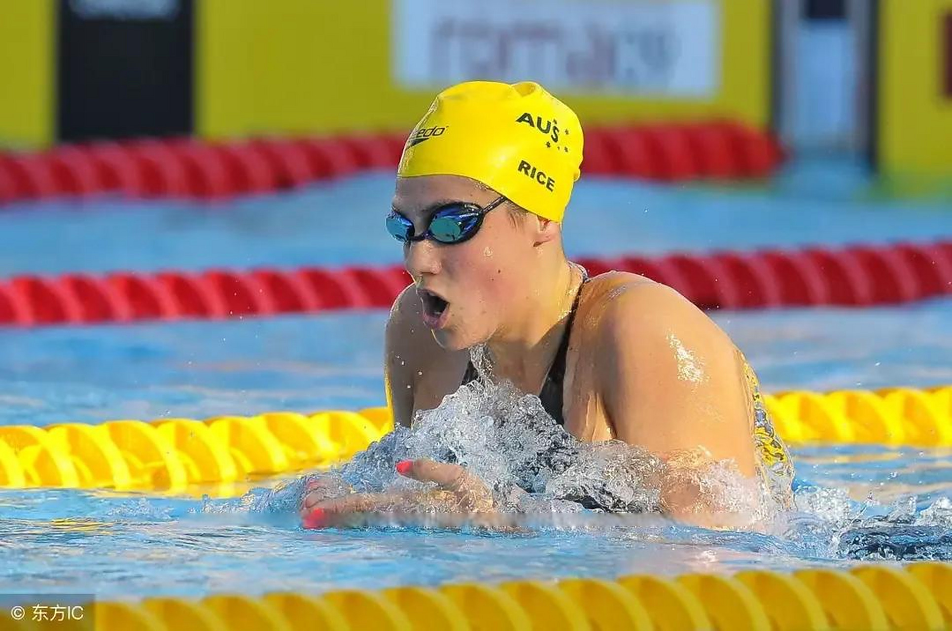 美女运动员之斯蒂芬妮·赖斯  澳大利亚"美人鱼"斯蒂芬妮·赖斯,被誉