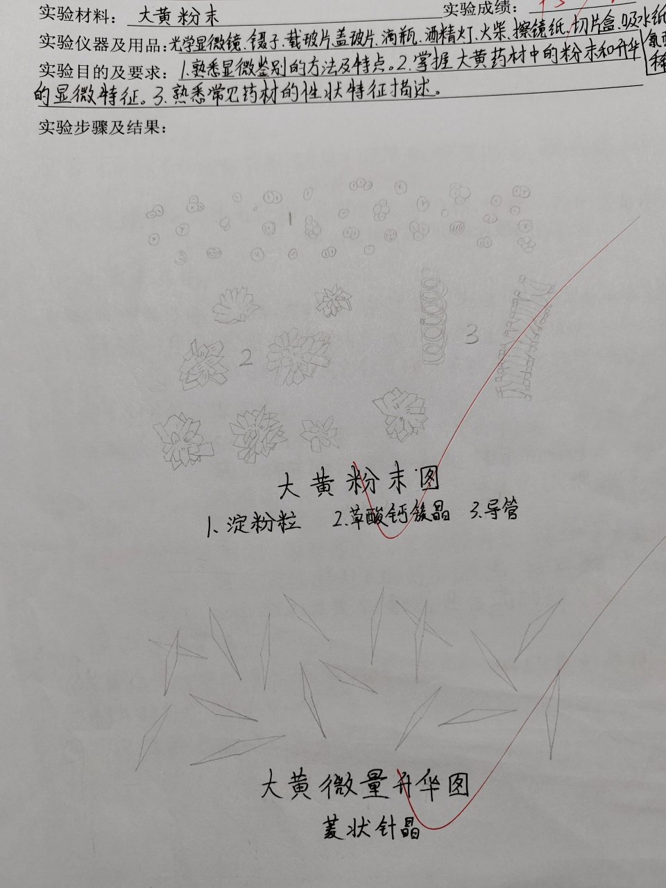 大黄粉末特征图～ 希望可以帮助到你